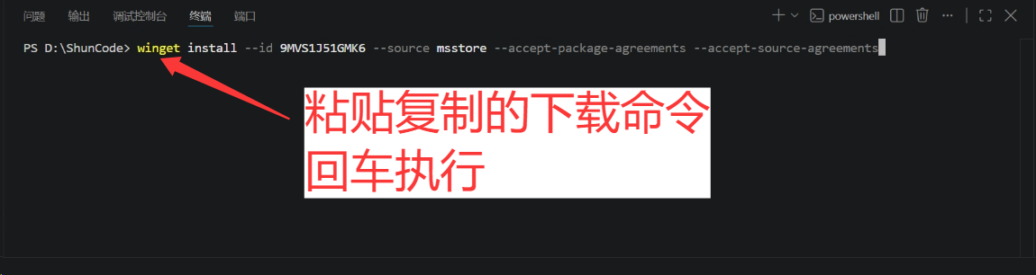 将复制的下载命令粘贴到终端执行