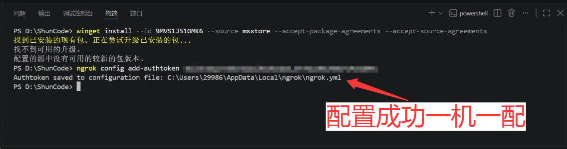 终端中配置 Ngrok Authtoken 成功