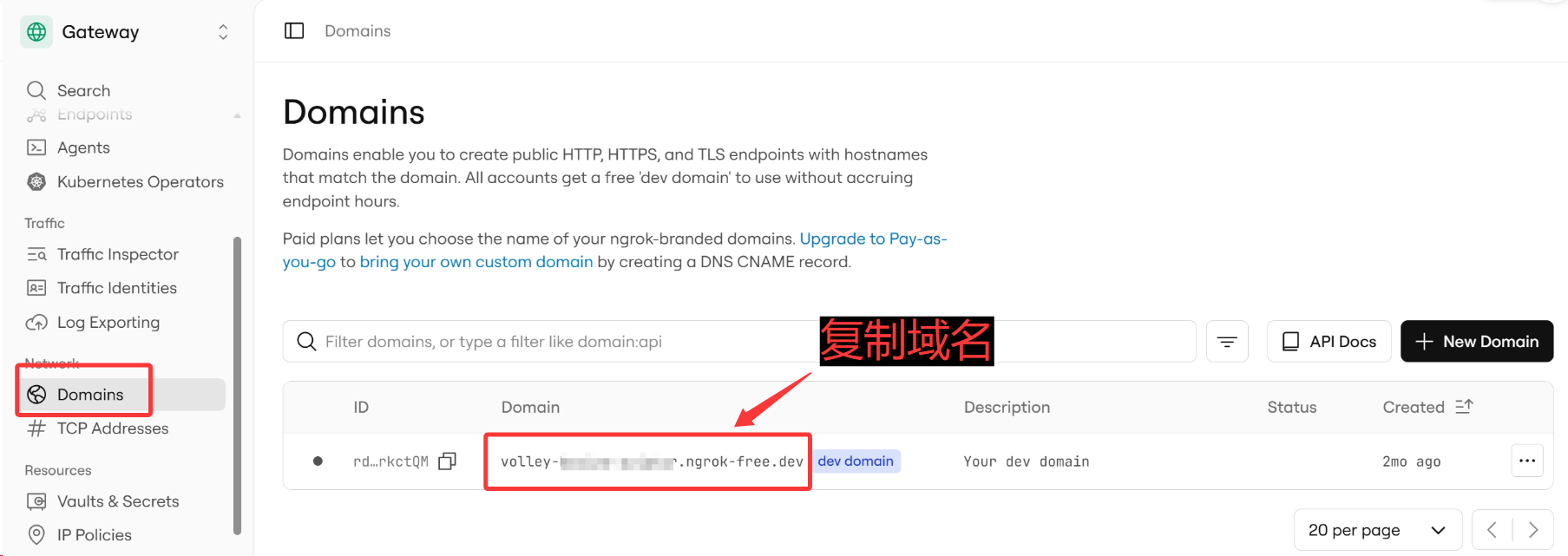 Ngrok Domains 页面:复制域名