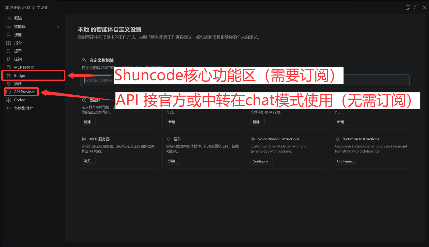 Bridge 与 API 接入相关设置页面